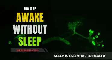 Staying Awake Without Sleep: Strategies for the Sleepless