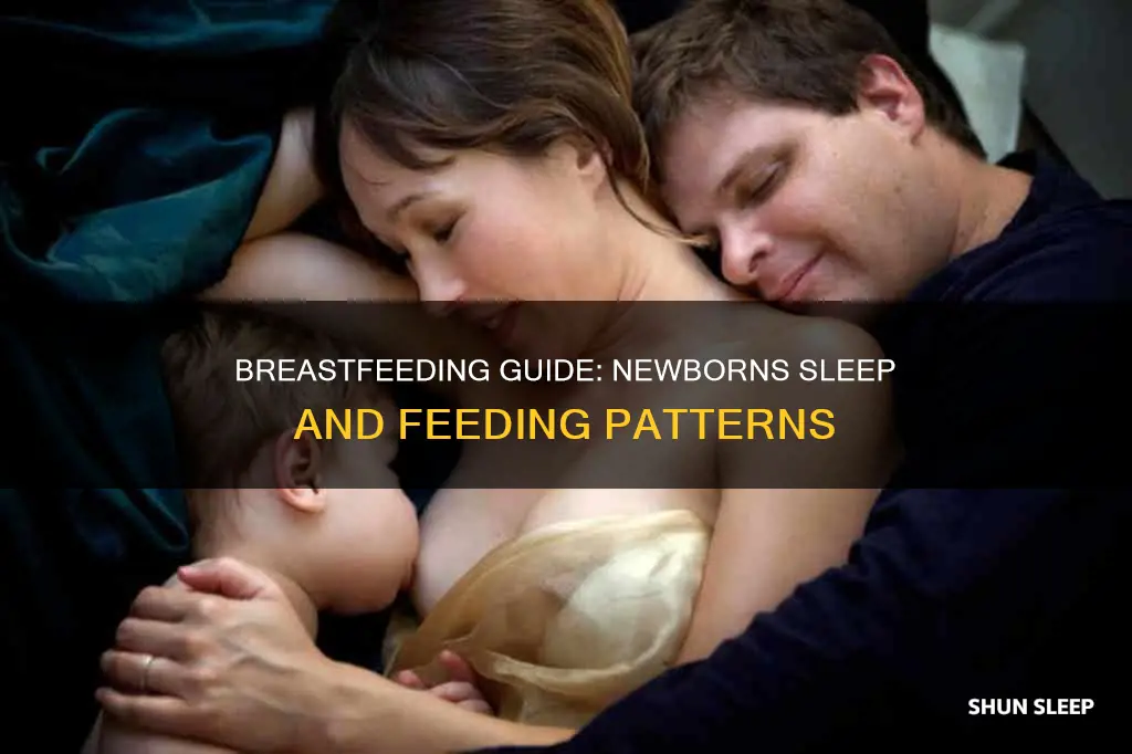 how to breastfeed a sleeping newborn