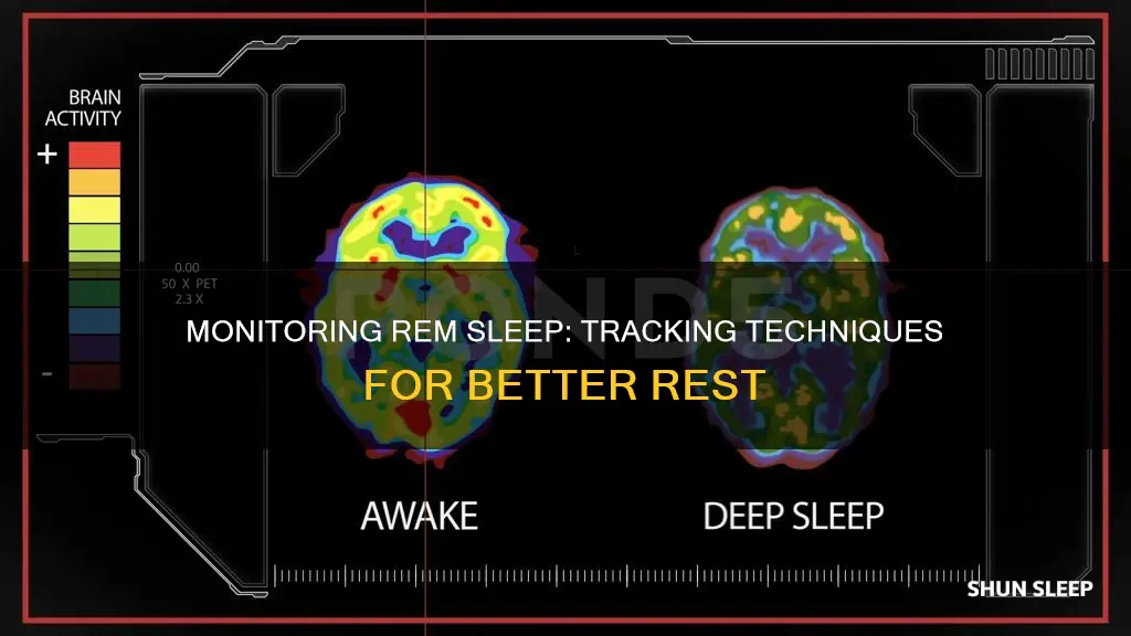 how to check rem sleep