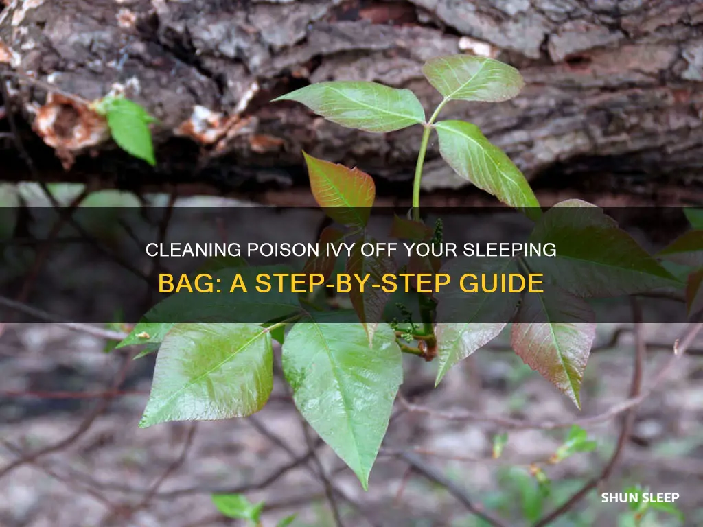 how to clean poison ivy off sleeping bag