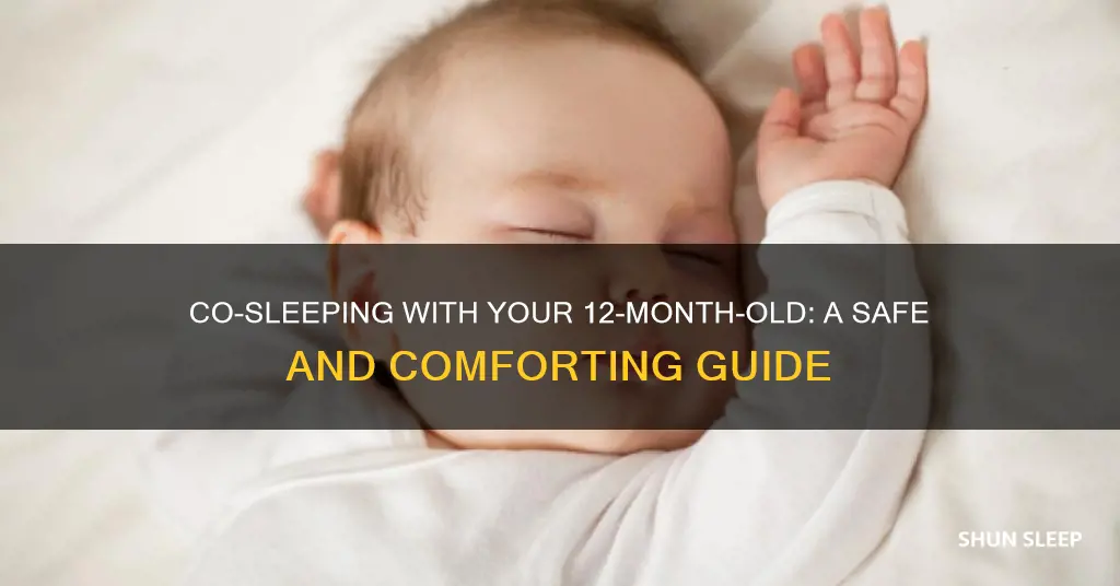 how to co sleep with a 12 month old
