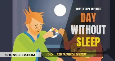 Coping After a Sleepless Night: Strategies for the Daytime