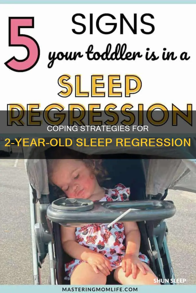 how to cope with 2 year old sleep regression