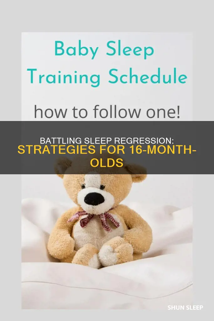how to deal with 16 month old sleep regression