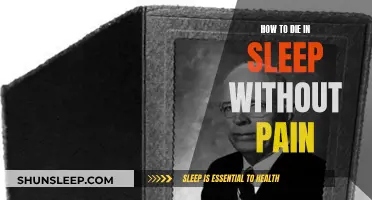 Painless Sleep: A Guide to Dying Peacefully in Slumber