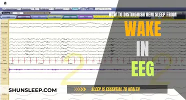 EEG Wake and Sleep States: Distinguishing REM Sleep