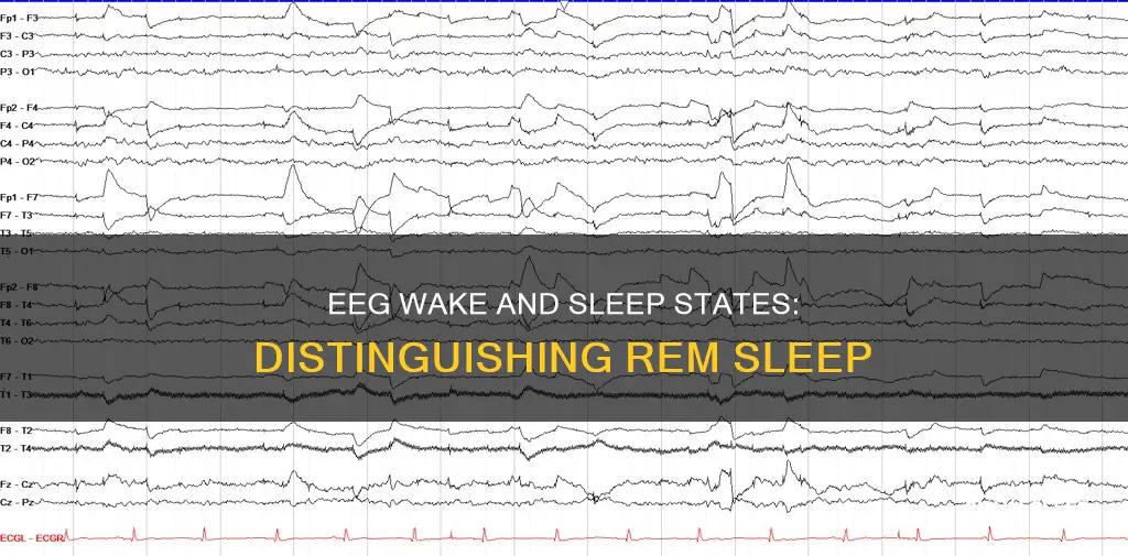 how to distinguish rem sleep from wake in eeg