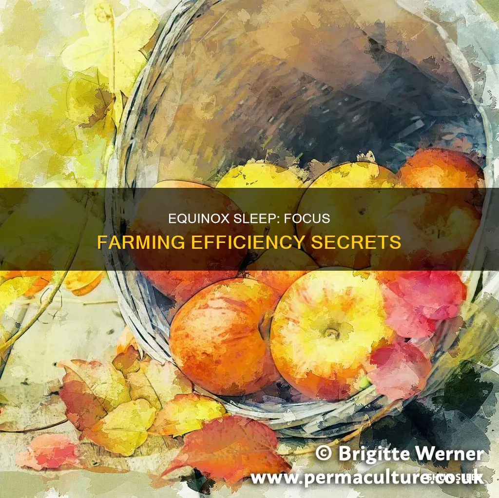 how to efficiently focus farm using equinox sleep