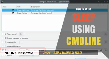 Accessing Sleep Mode: A Command Line Guide