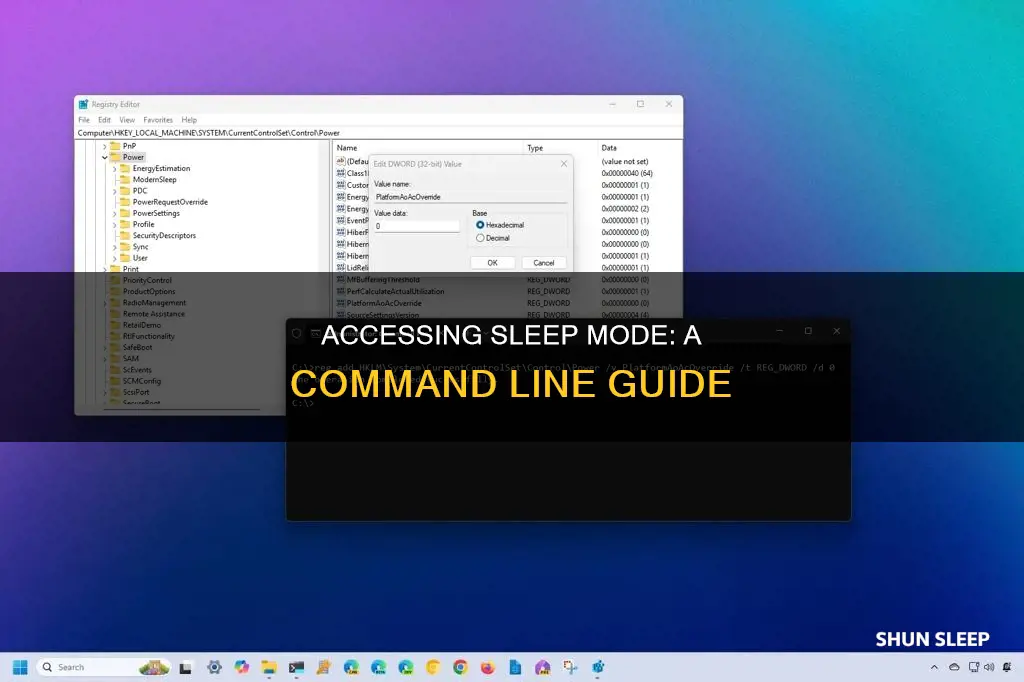 how to enter sleep using cmdline
