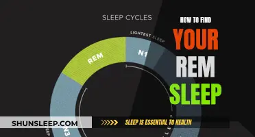 Finding REM Sleep: A Guide to Dreaming and Sleep Quality