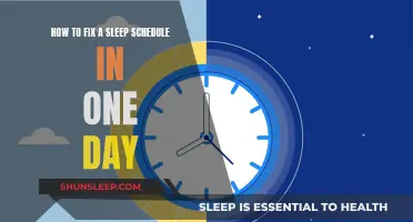 Resetting Your Sleep Schedule: A One-Day Fix