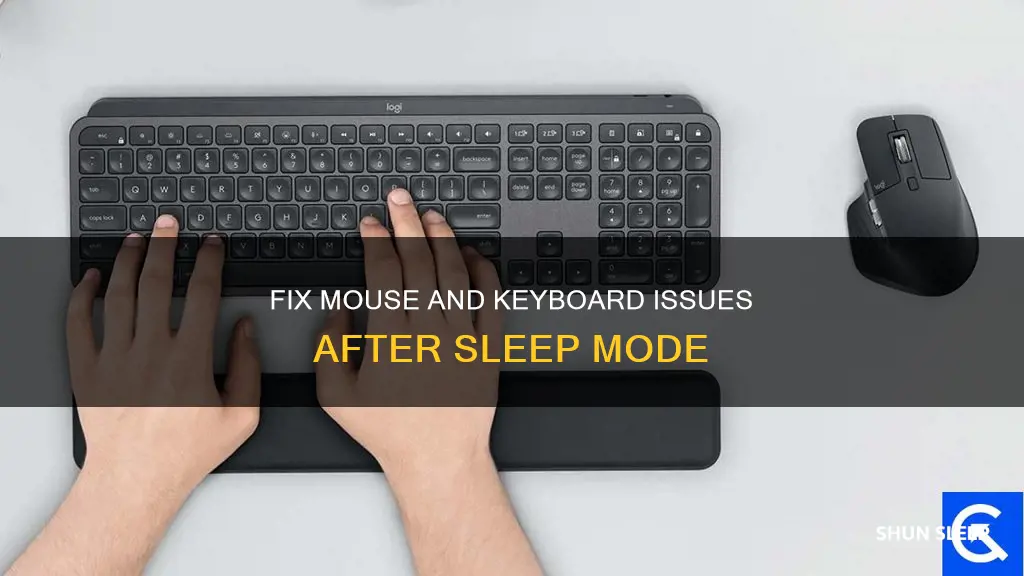 how to fix mouse and keyboard not working after sleep