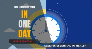 Resetting Your Sleep Cycle: A One-Day Fix