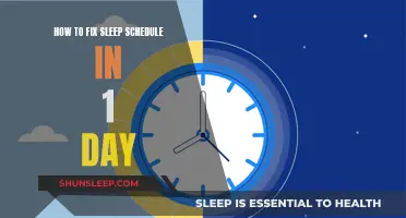 Resetting Your Sleep Schedule: A One-Day Fix