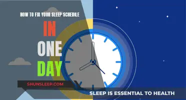 Reset Your Sleep Schedule: A One-Day Fix