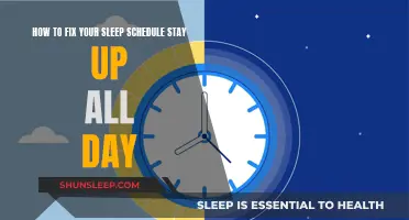 Fixing Sleep Schedules: Staying Up All Day