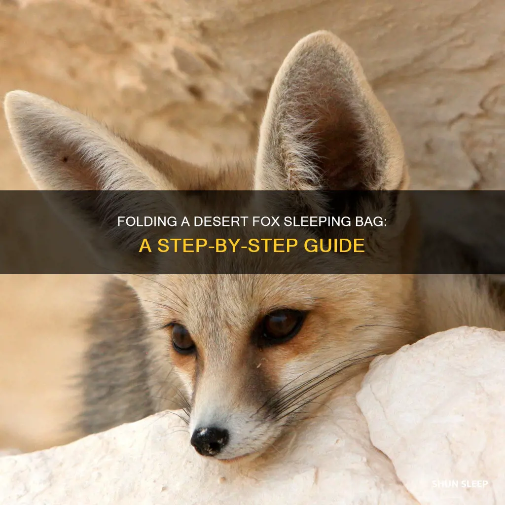 how to fold up a desert fox sleeping bag