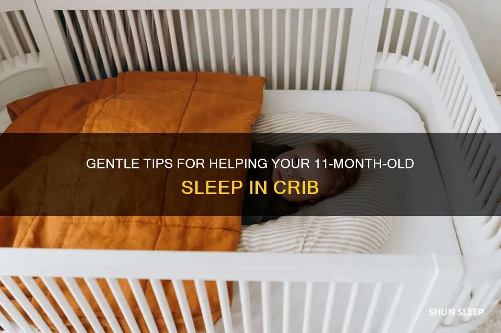 how to get 11 month old to sleep in crib