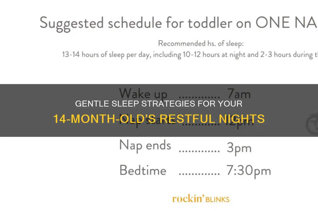 how to get 14 month old to sleep
