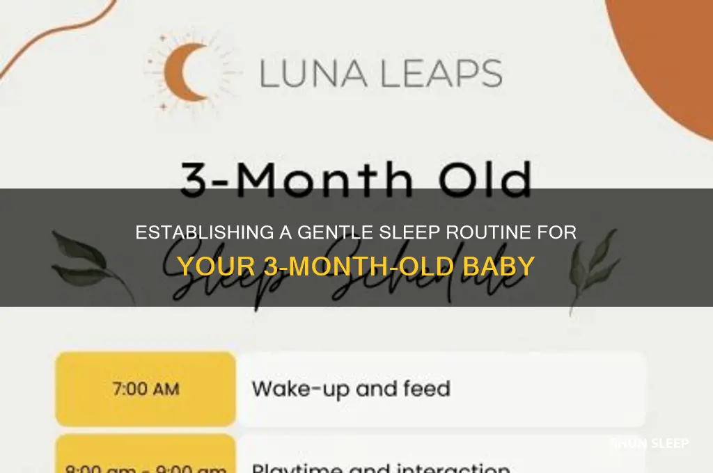 how to get 3 month old into sleep routine