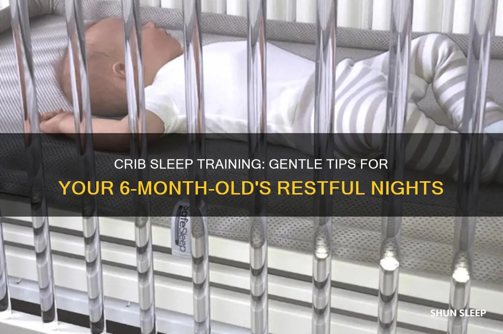how to get 6 month old to sleep in crib