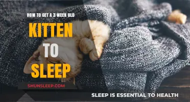 Helping Your 3-Week-Old Kitten Sleep Soundly: Gentle Tips and Tricks