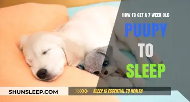 Helping Your 7-Week-Old Puppy Sleep Through the Night: Tips and Tricks