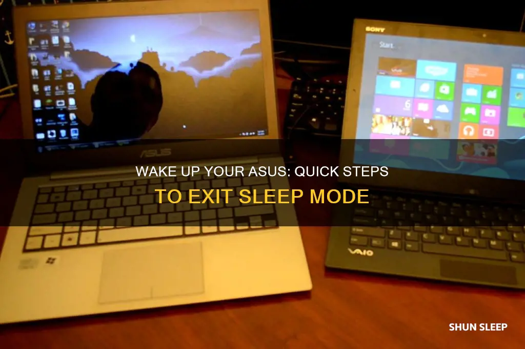 how to get a asus out of sleep mode