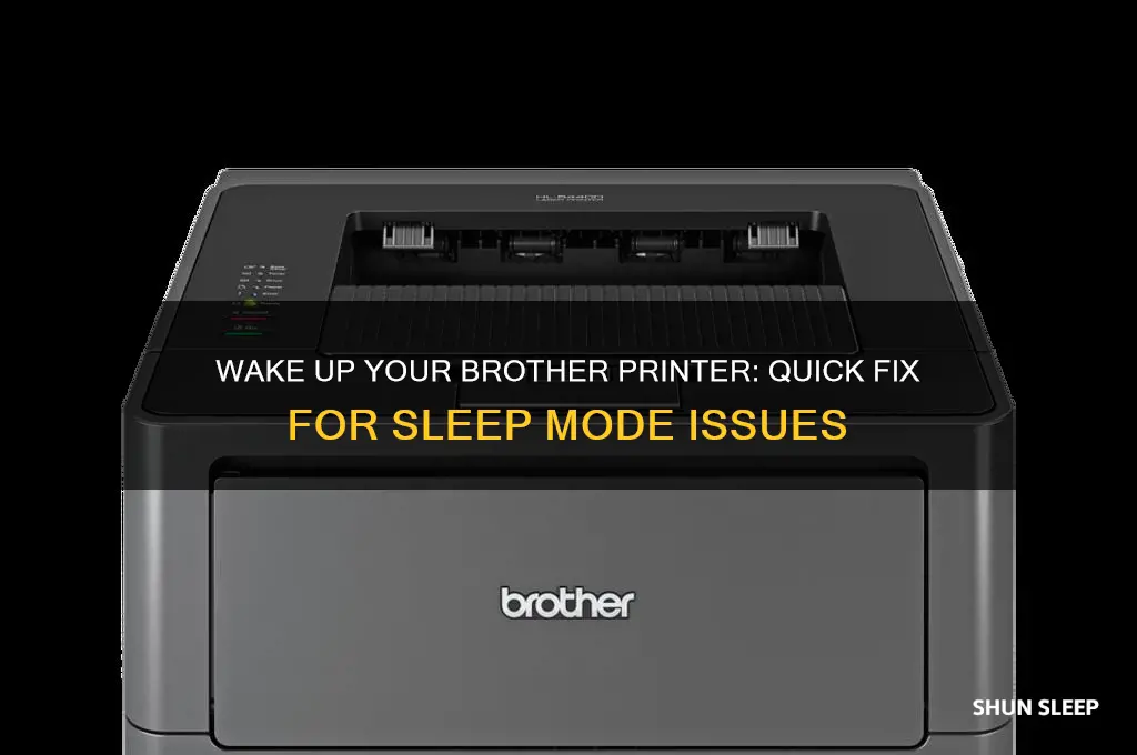 how to get a brother printer out fo sleep mode