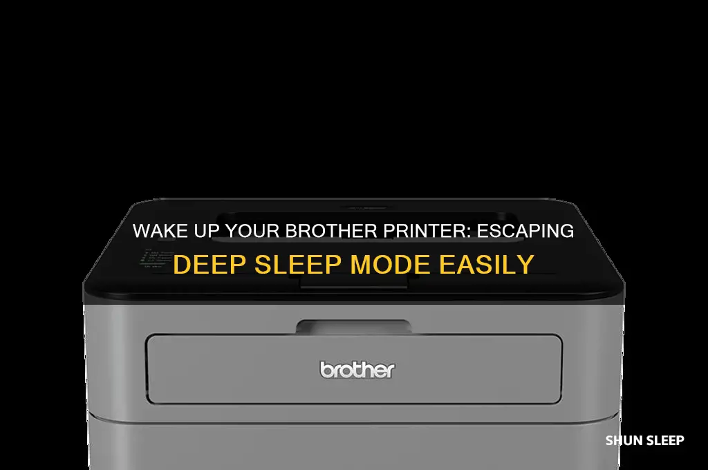 how to get a brother printer out of deep sleep