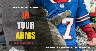 Cozy Cuddles: Tips to Get Your Cat to Sleep in Your Arms