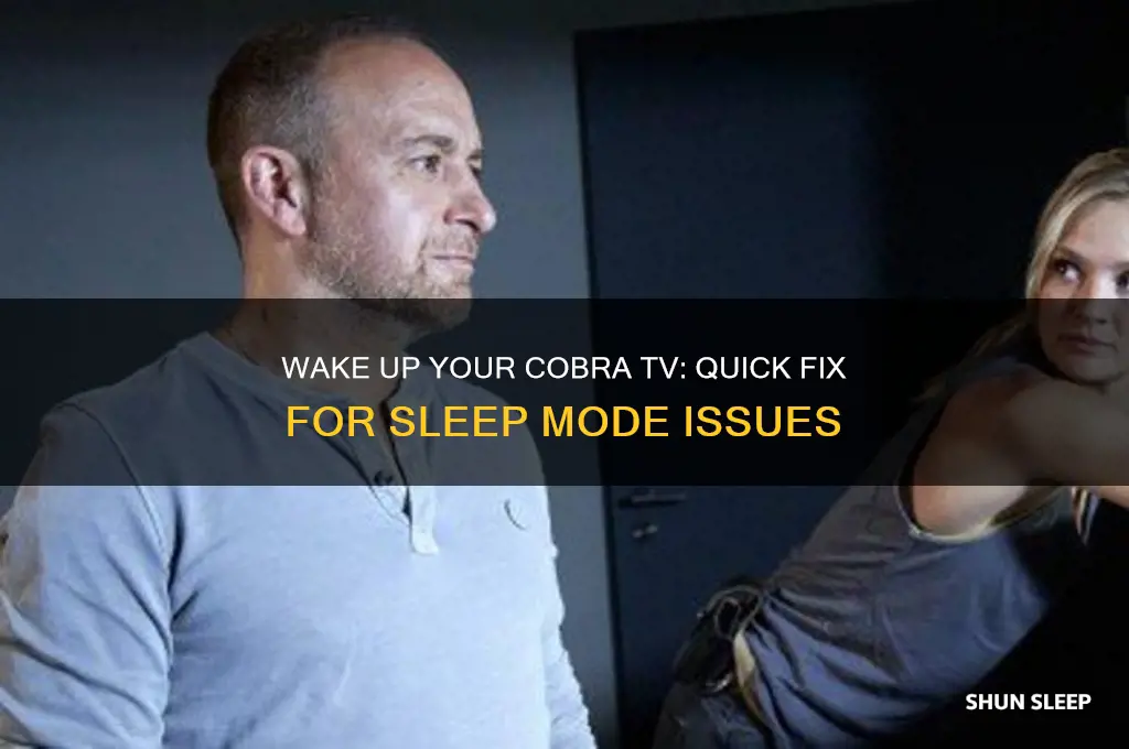 how to get a cobra tv out of sleep mode