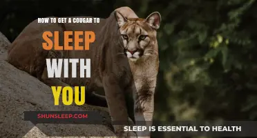 Attracting Cougars: Tips for a Successful Night with an Older Woman