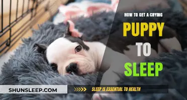 Soothing Your Crying Puppy: Effective Tips for Peaceful Sleep