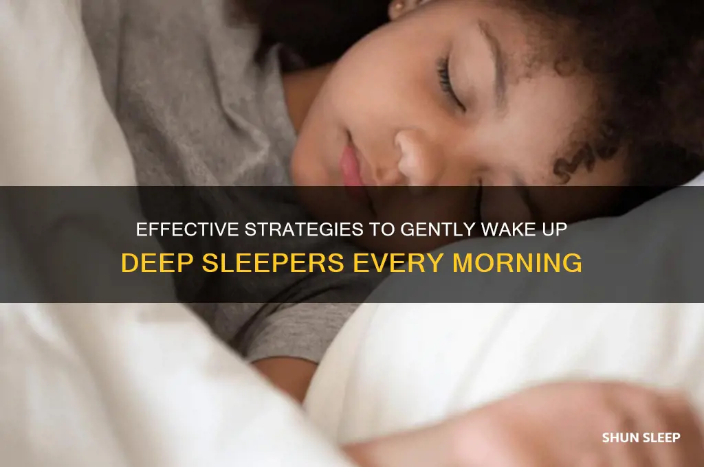 how to get a deep sleeper to wake up