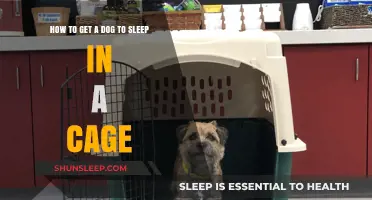 Training Your Dog to Love Sleeping in Their Crate: A Guide
