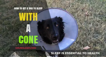 Helping Your Dog Sleep Comfortably with a Cone: Tips and Tricks