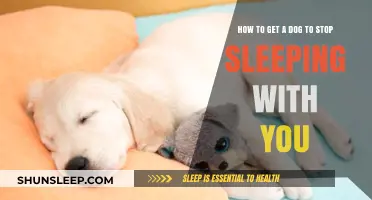 Train Your Dog to Sleep Alone: Tips for a Peaceful Night