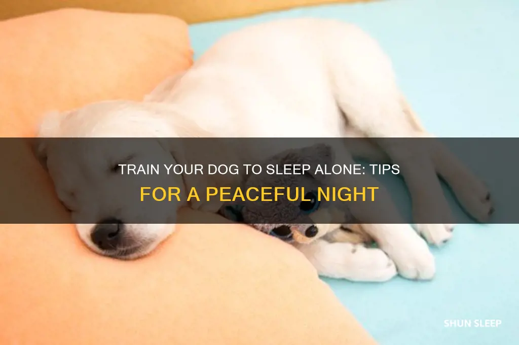 how to get a dog to stop sleeping with you
