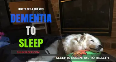 Helping Your Dog with Dementia Sleep Peacefully: Gentle Tips and Strategies