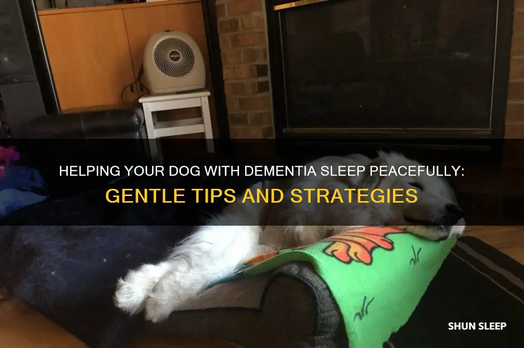 how to get a dog with dementia to sleep