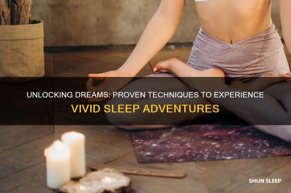 how to get a dream in your sleep
