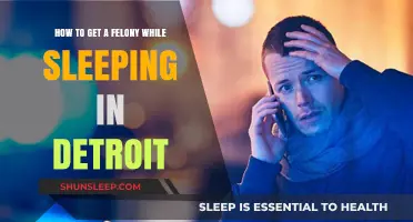 Sleeping in Detroit: Unlikely Ways to Accidentally Commit a Felony