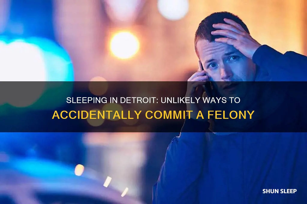 how to get a felony while sleeping in detroit
