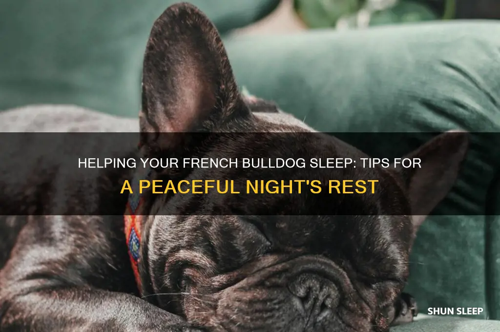 how to get a french bulldog to sleep