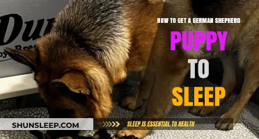 Training Your German Shepherd Puppy for Peaceful Sleep: Tips and Tricks