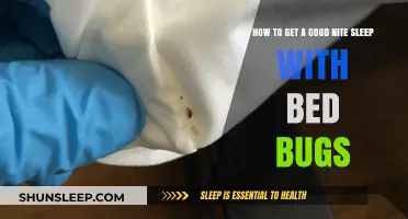 Sleep Tight Despite Bed Bugs: Effective Strategies for Peaceful Nights