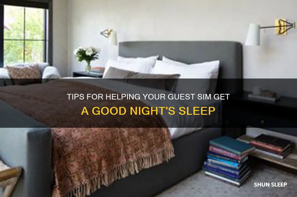 how to get a guest sim to sleep
