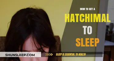 Mastering Hatchimal Sleep: Tips for a Peaceful Night's Rest